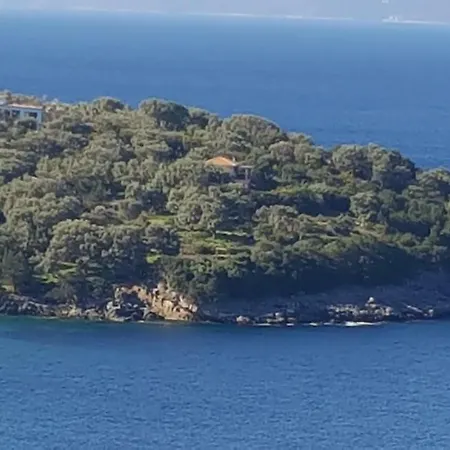 Dell Mar Stone House Villa